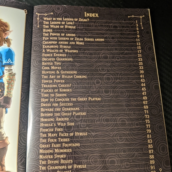 The Legend of Zelda BOTW Explorers Guide - Picture 4 of 4